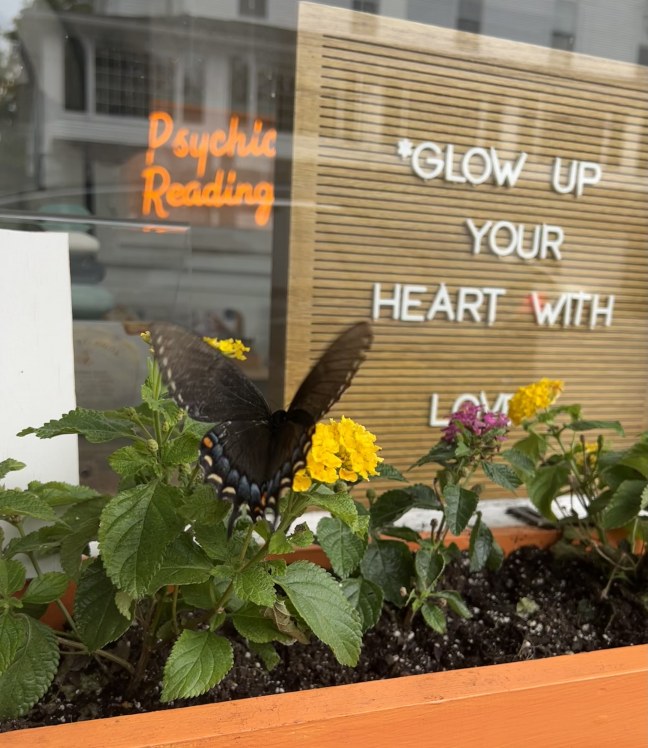 68d34fb082fe203f880358bb_pl2