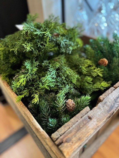 68d34fb482fe203f880358dd_pl1